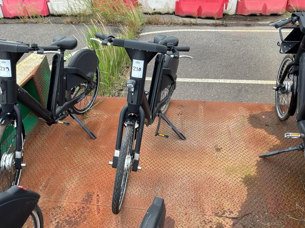 Vaimoo Electric Bike