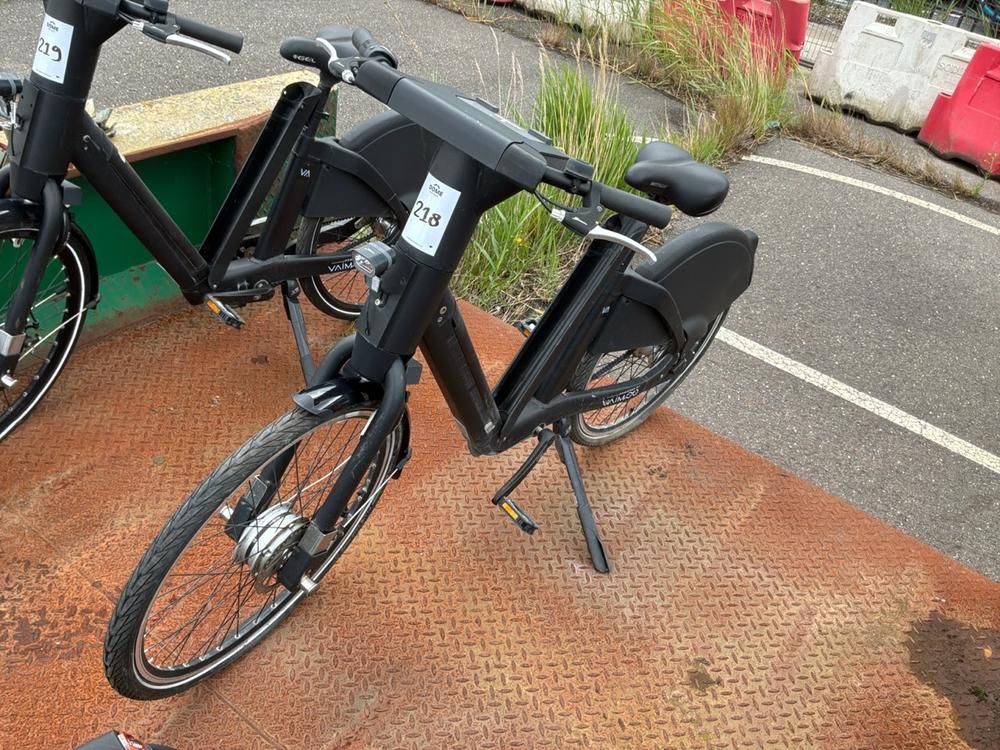 Vaimoo Electric Bike