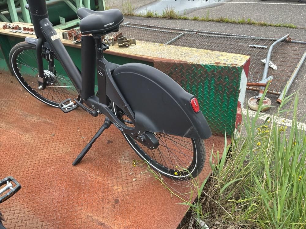 Vaimoo Electric Bike