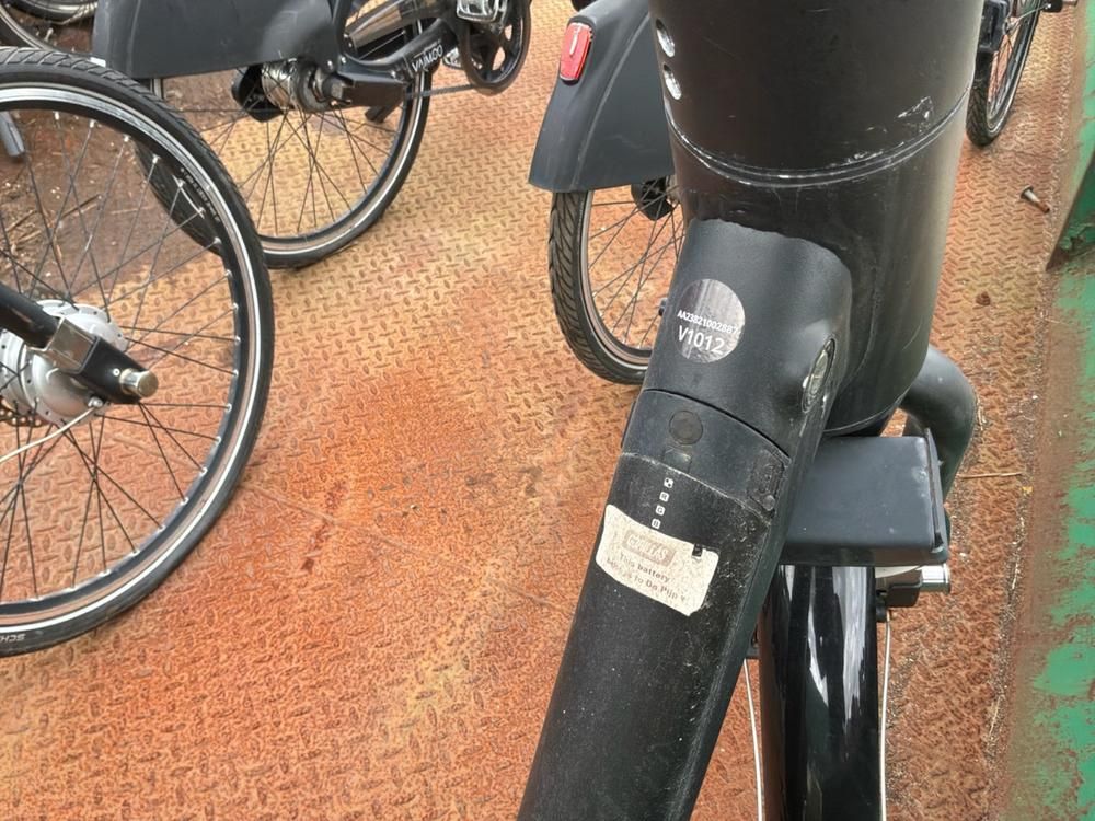 Vaimoo Electric Bike