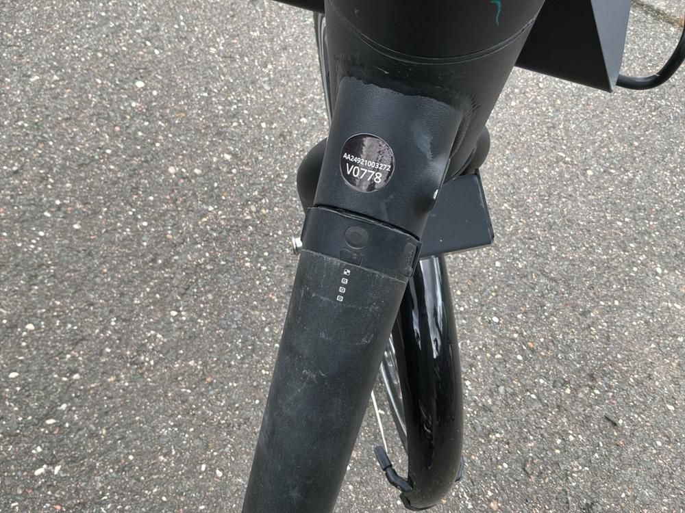 Vaimoo Elektrische fiets