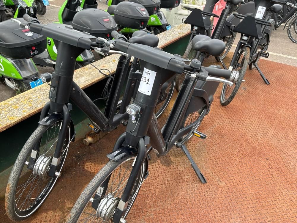 Vaimoo Elektrische fietsen (2x)