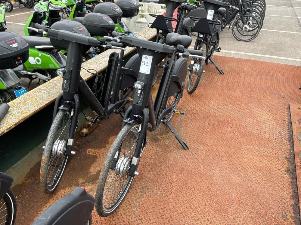 Vaimoo Elektrische fietsen (2x)