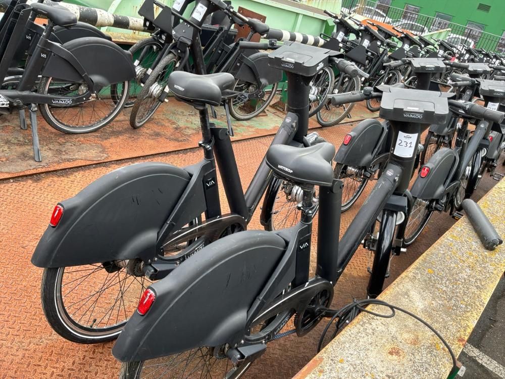 Vaimoo Elektrische fietsen (2x)