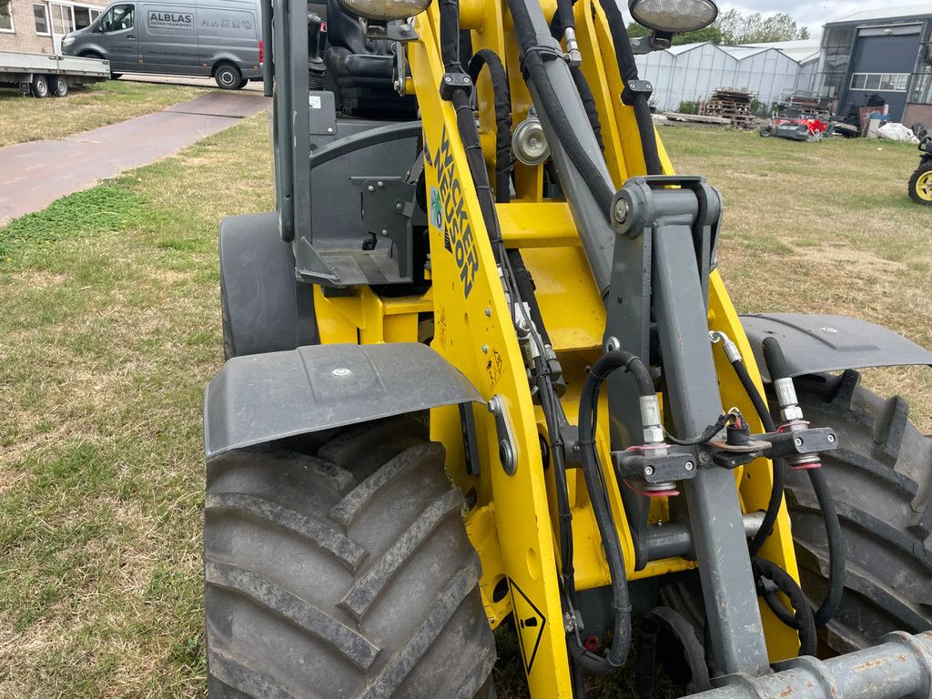 Weidemann Weideman 1160 E hoftrac / Wacker Neuson WL20