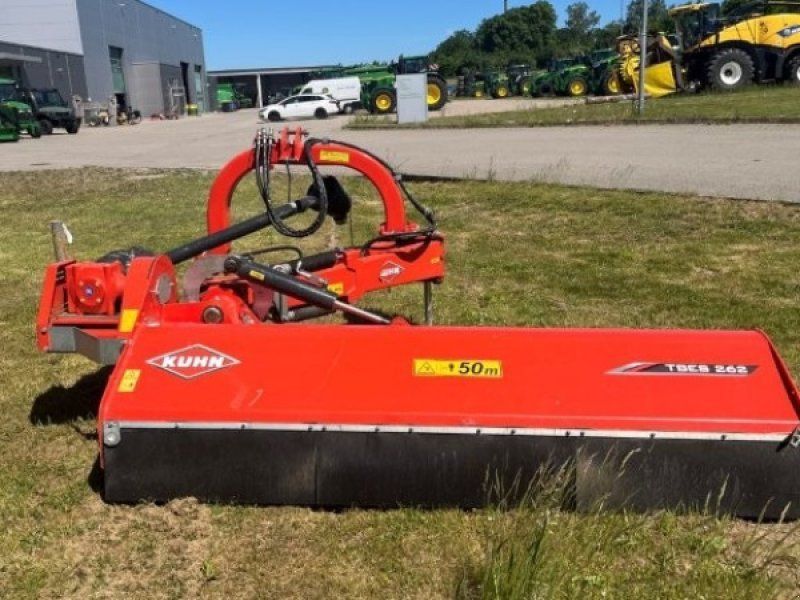 Kuhn TBES 262