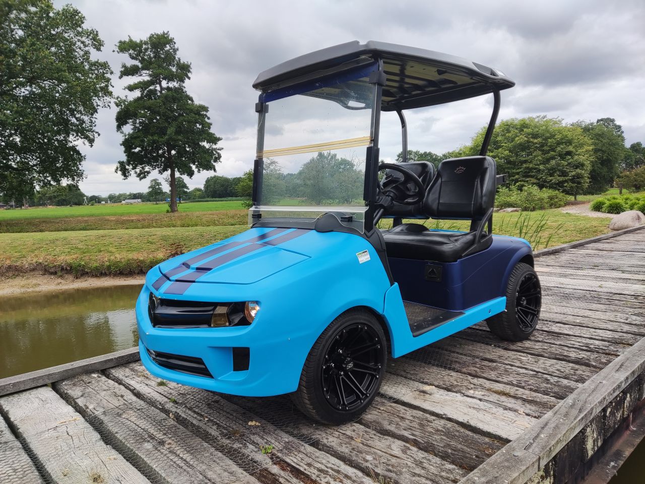 EZGO / Chevrolet golfkar (type Camaro, lederen zitting, etc)
