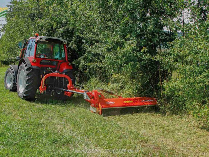 Kuhn TBES 19
