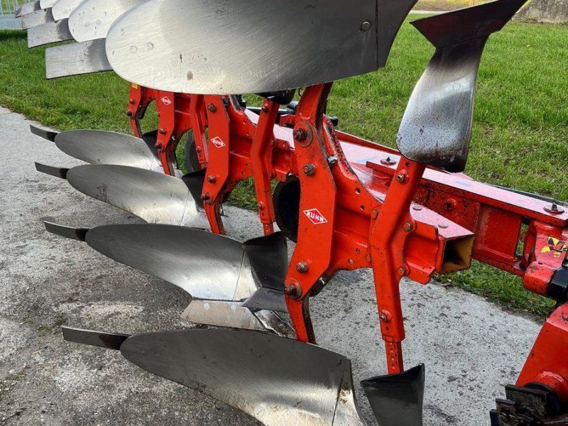 Kuhn 4 Schar