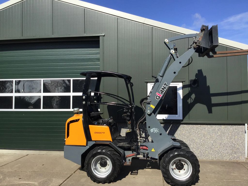 Giant D337T
