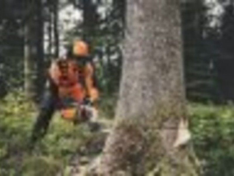 Stihl BENZIN MOTORSÄGE MS 400.1 C-M VW 45 cm