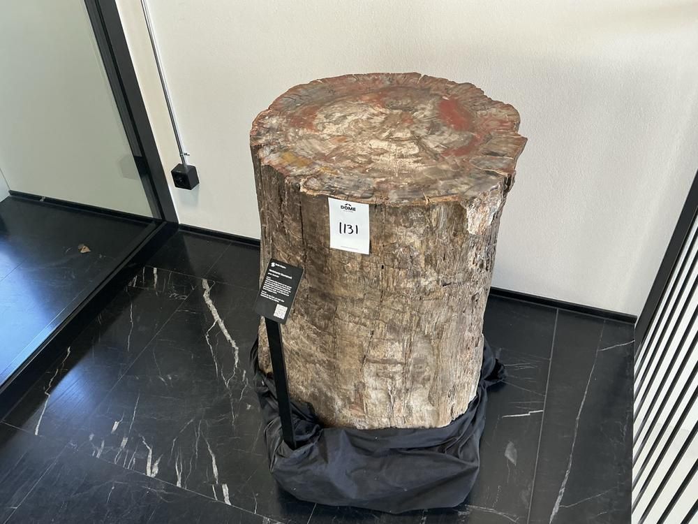 Fossilised tree stump (dendrolith)