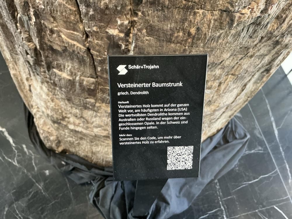 Fossilised tree stump (dendrolith)