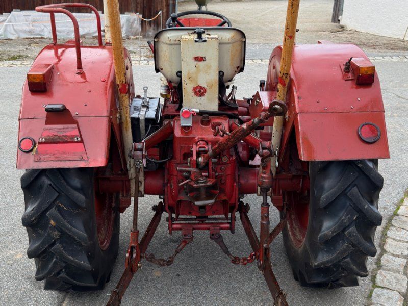 IHC 353