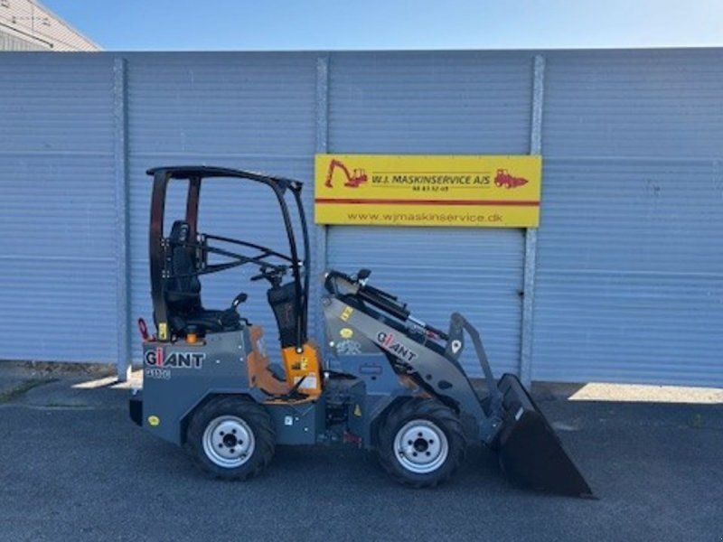 Giant G1100