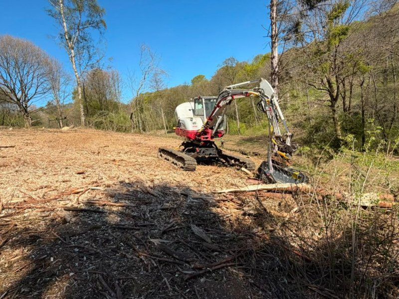 Takeuchi TB260 TB260 Levelizer