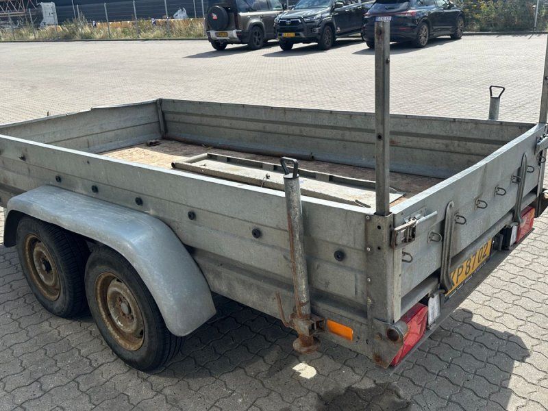 Niewiadów SELANDIA Selandia KP8702 skal synes