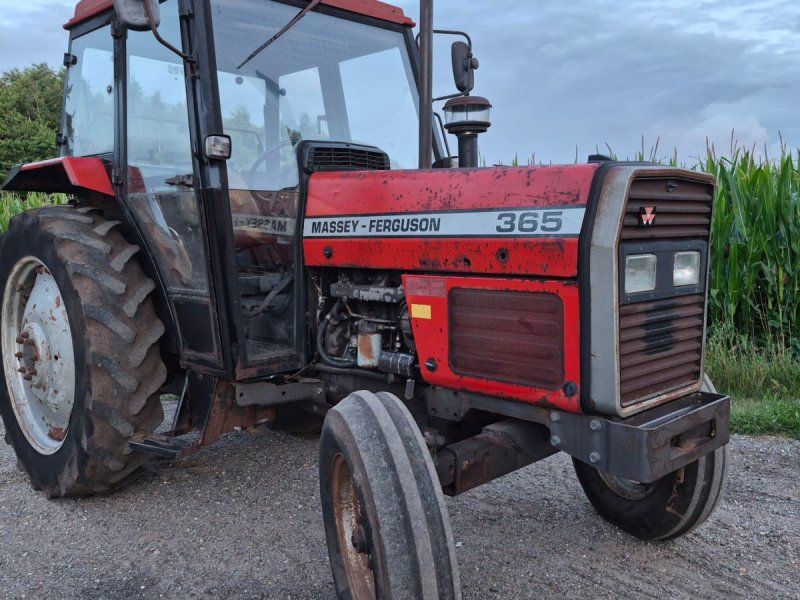 Massey Ferguson 365
