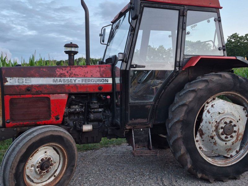 Massey Ferguson 365
