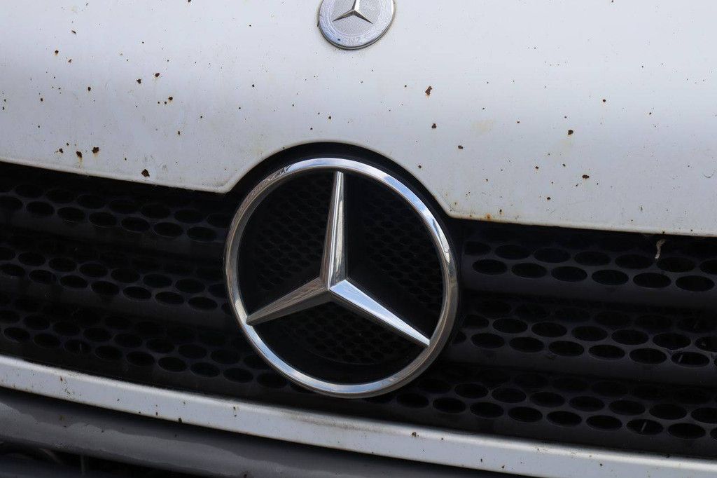 BE Trekker Mercedes-Benz 413 Diesel 129pk 2006