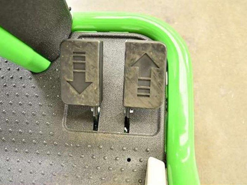 Etesia BAHIA