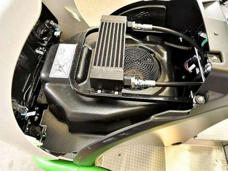 Etesia BUFFALO