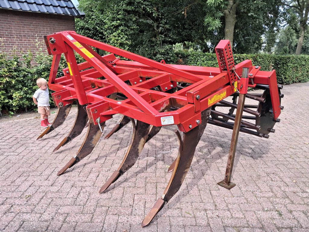 Hekamp Evers Haflinger cultivator 3m