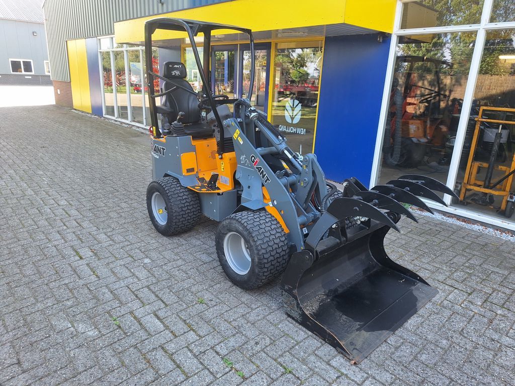 Giant D204SW