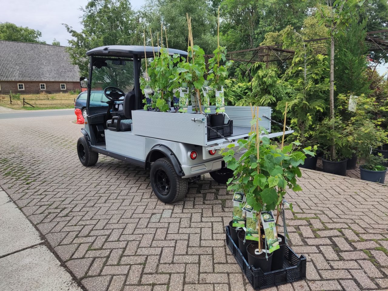 ICOCAR golfcar (type Carrier 3.0, Lithium accu, 500 kg.)