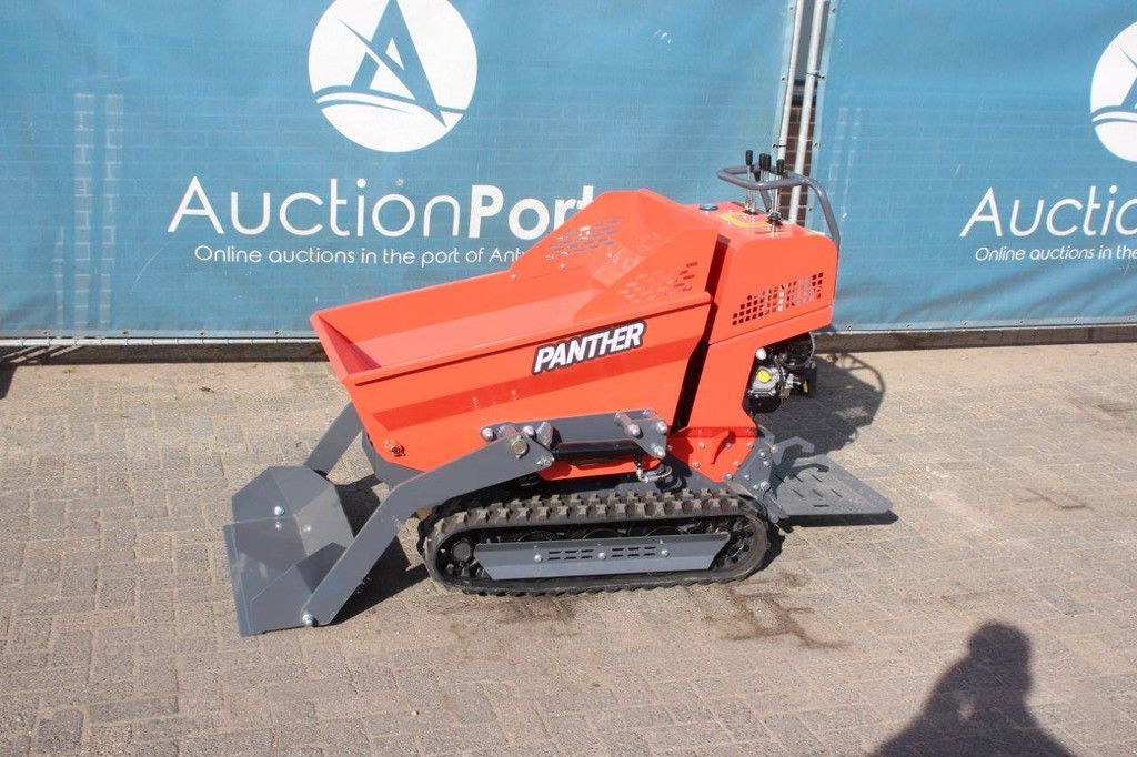 Minidumper Panther KC500 Benzine 6.5pk 2025 Nieuw