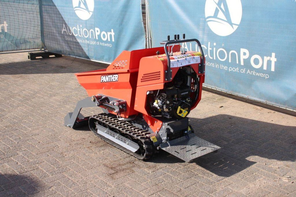 Minidumper Panther KC500 Benzine 6.5pk 2025 Nieuw