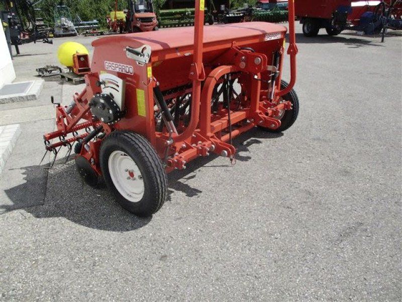Maschio NINA 250 21 R. COR  # 31