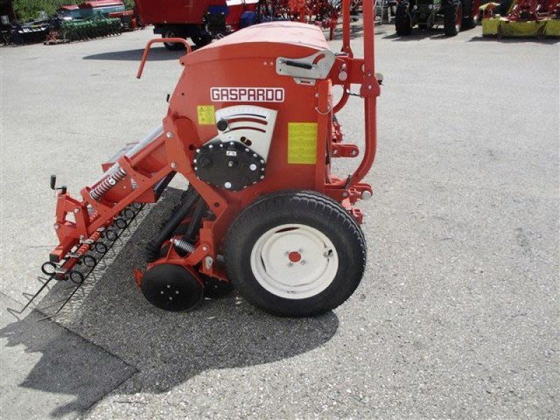 Maschio NINA 250 21 R. COR  # 31