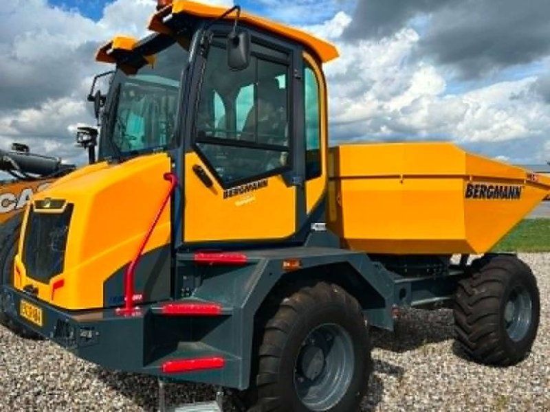 Bergmann C810 er