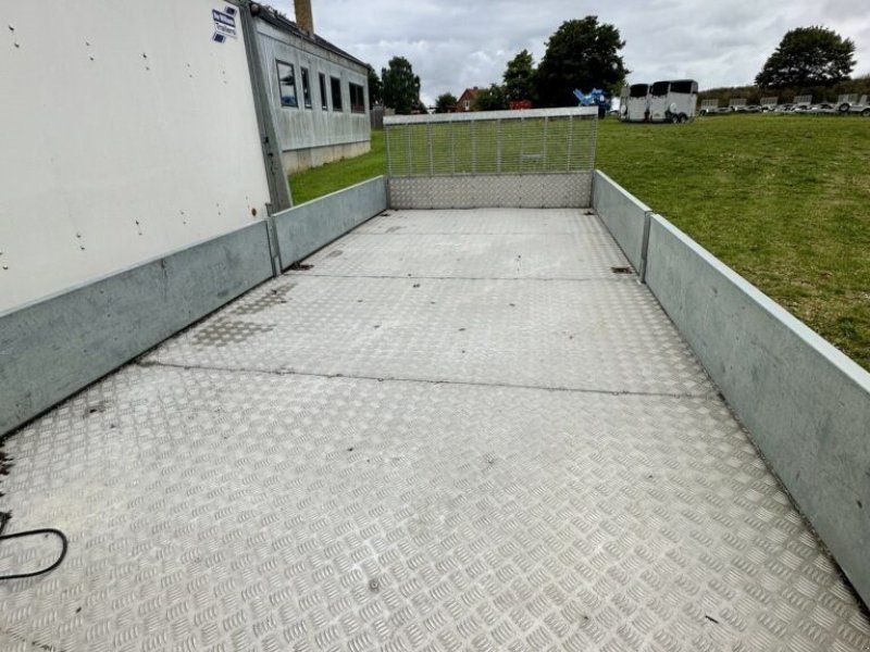 Ifor Williams ct167
