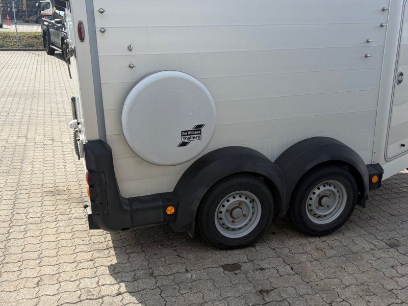 Ifor Williams HBX 511 Premium HBX511 heste (Årg. ) –