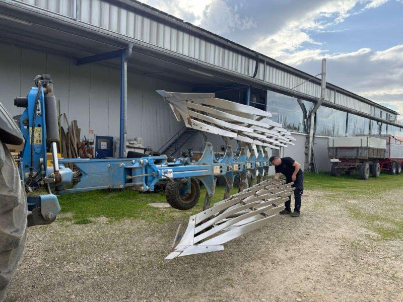Rabe 6 Schar  Condor 150 Onland möglich Steinsicherung
