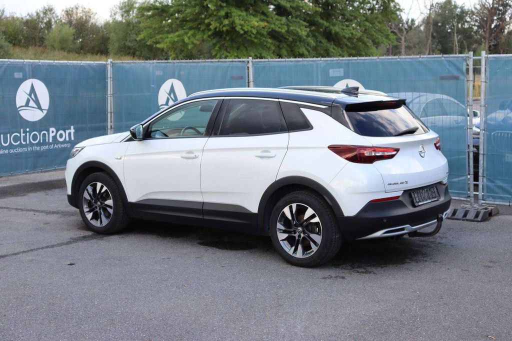 Pkw Opel Grandland X Benzin 130 PS 2019 (Marge)