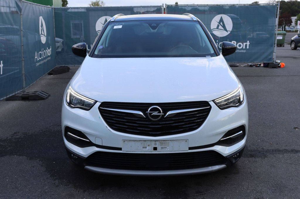 Pkw Opel Grandland X Benzin 130 PS 2019 (Marge)