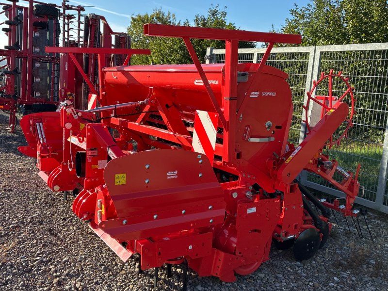 Maschio Dama 300