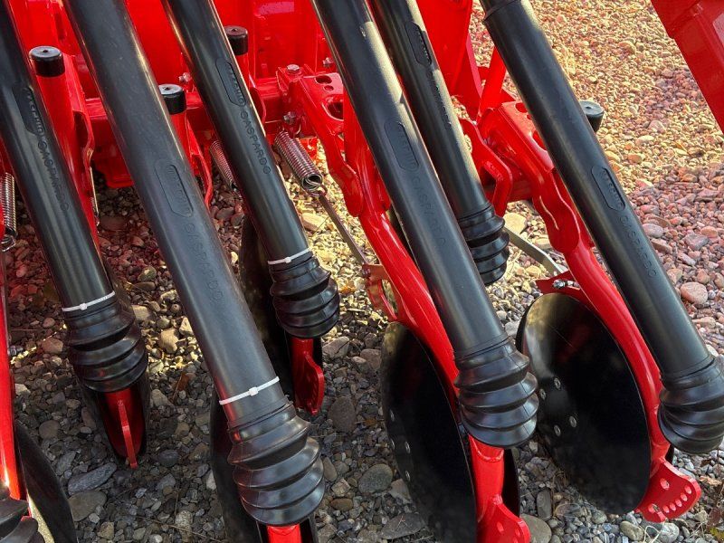 Maschio Dama 300