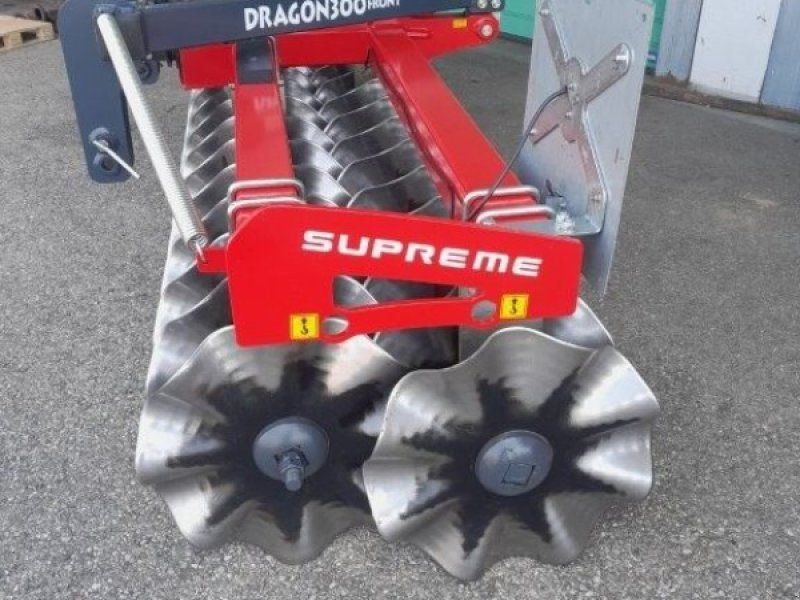 Dragon 300