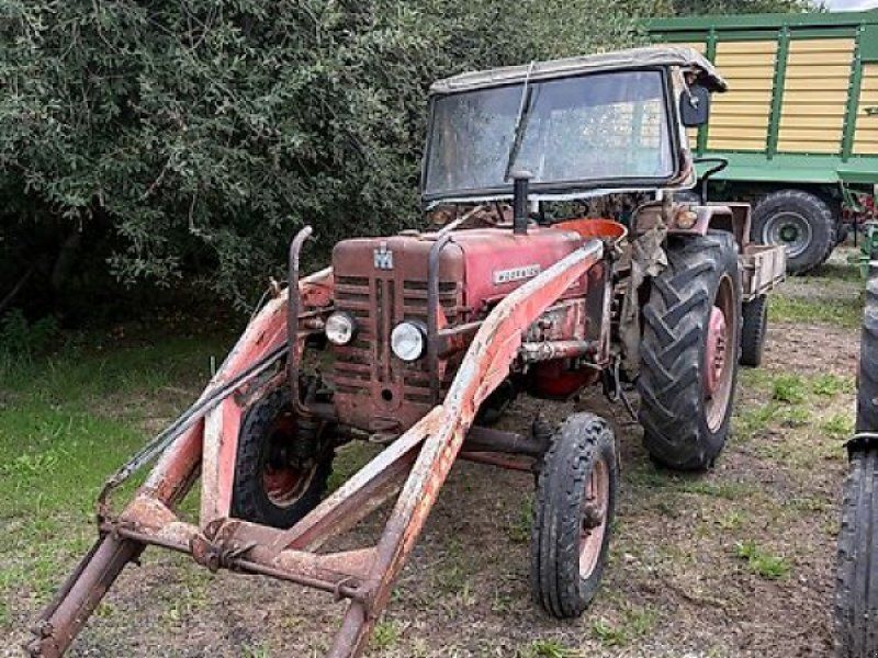 IHC D-439