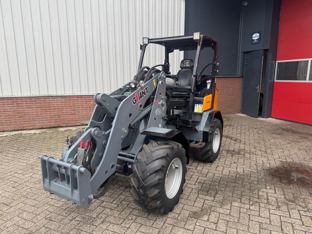 Giant V5003