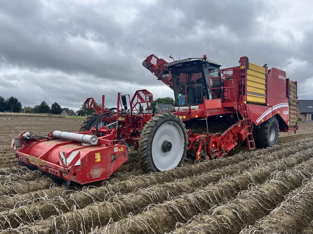2019 Grimme Varitron 470 Kartoffelroder