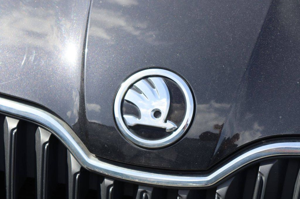 Pkw Skoda Fabia Benzin 90 PS 2016 (Margin)
