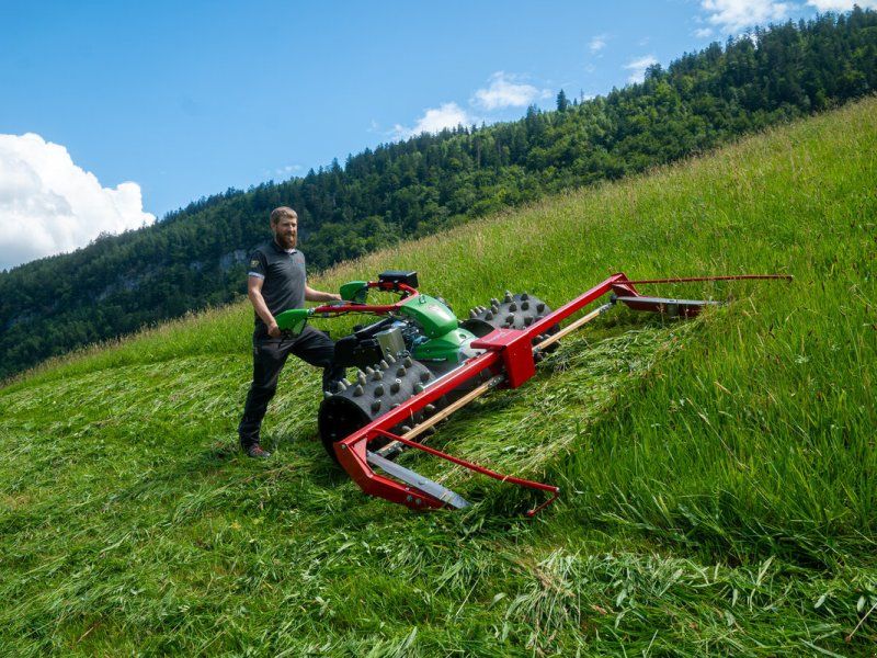 Rapid Monta S161