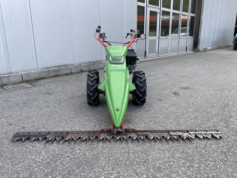 Rapid Euro 3