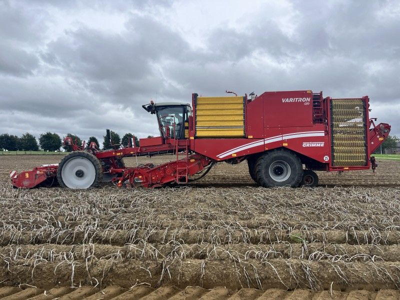 2019 Grimme Varitron 470 Kartoffelroder
