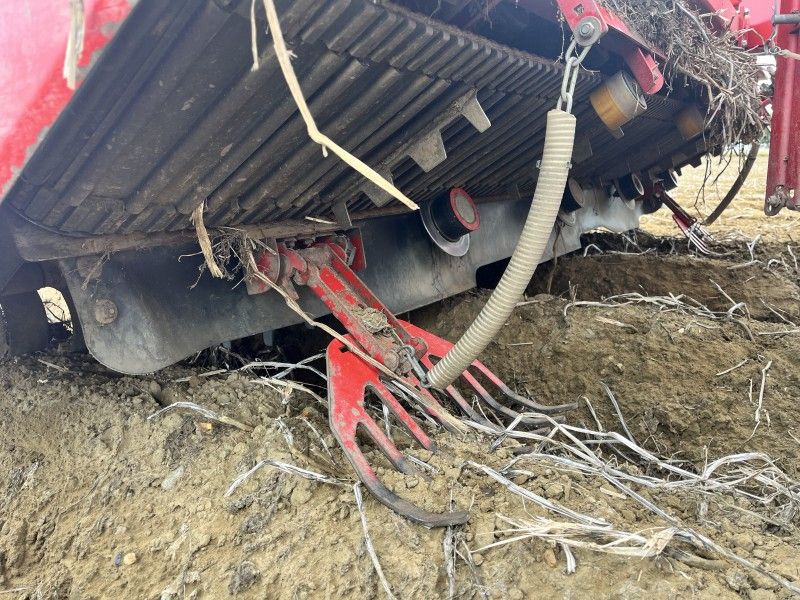 2019 Grimme Varitron 470 Kartoffelroder